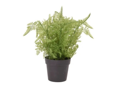 Растение искусственное Adiantum 28 см