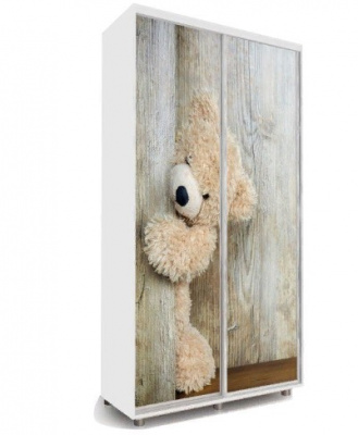 Яркий 22 Шкаф-купе 160*60*230 с фотопечатью