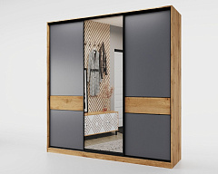 Шкаф-купе SLIM 221х60х230