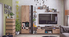 Гостиная  Nature 4