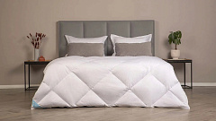 Одеяло 220*200 Silver Goose