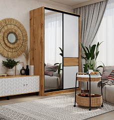 Шкаф-купе SLIM (СЛИМ)150х60х230 ZD