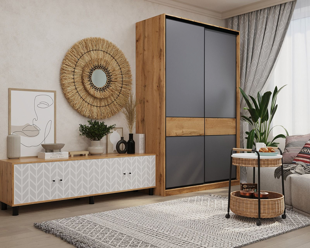 Шкаф-купе SLIM (СЛИМ) 150х60х230 2D