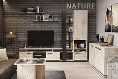 Nature (Натура) 1 (гостиная) Шкаф МЦН