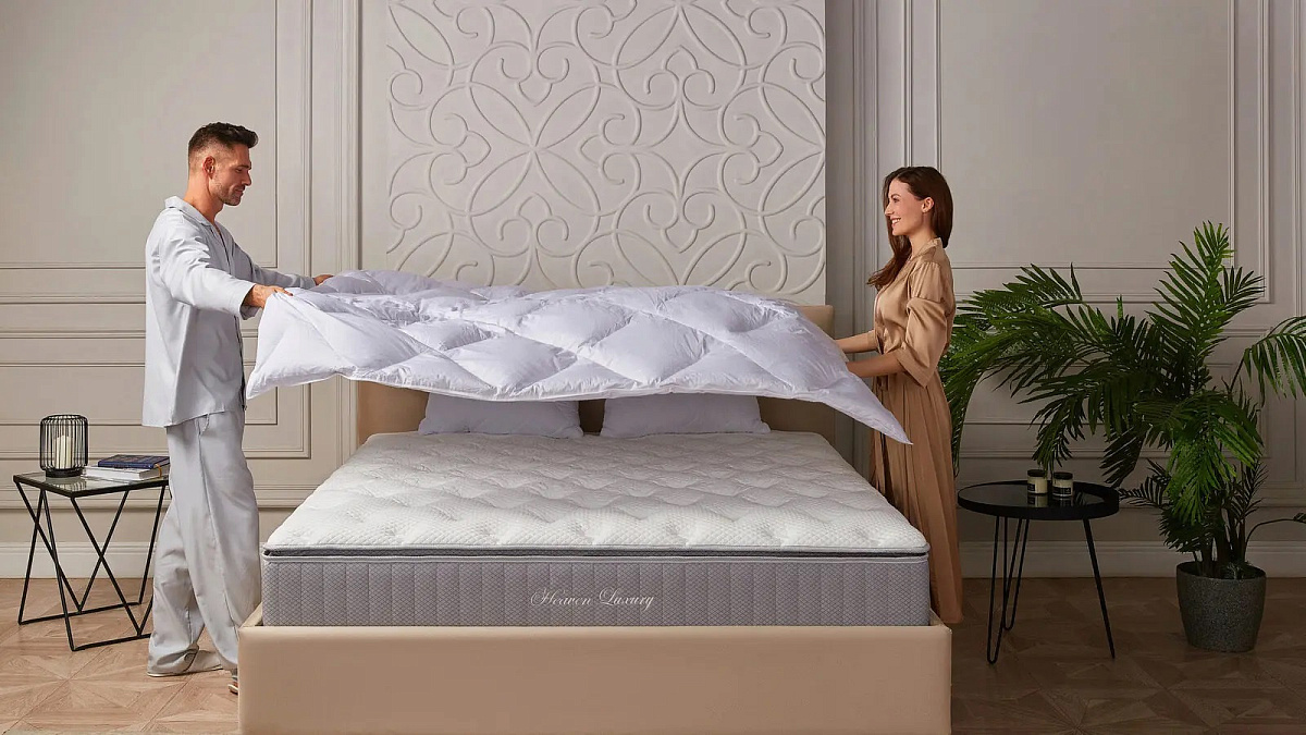 Одеяло 220*200 Silver Goose