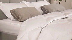 Одеяло 220*200 Silver Goose